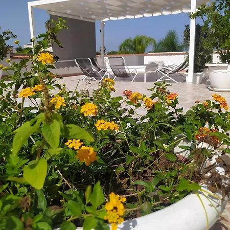 Casa Leandro * باليستراتي