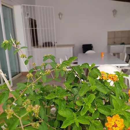 بيت للعطل Casa Leandro باليستراتي